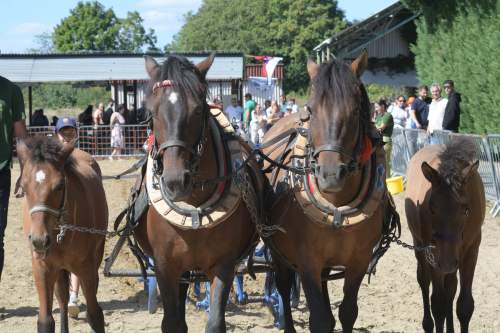 DSC_8581